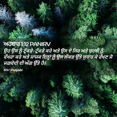 Picture 02 - ਅਹਬਾਰ 1:12 PANIRV - ਉਹ ਉਸ ਨੂੰ - Bible Verse Picture