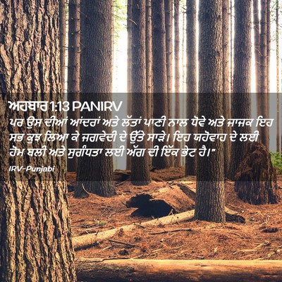 Picture 02 - ਅਹਬਾਰ 1:13 PANIRV - ਪਰ ਉਸ ਦੀਆਂ ਆਂਦਰਾਂ - Bible Verse Picture