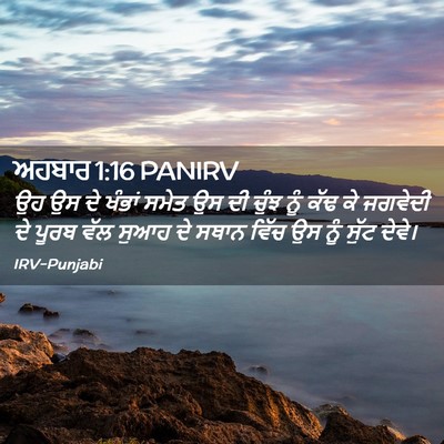Picture 02 - ਅਹਬਾਰ 1:16 PANIRV - ਉਹ ਉਸ ਦੇ ਖੰਭਾਂ ਸਮੇਤ - Bible Verse Picture