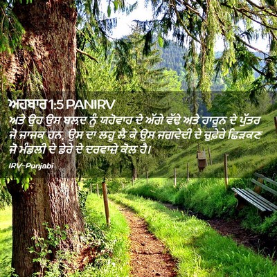 Picture 02 - ਅਹਬਾਰ 1:5 PANIRV - ਅਤੇ ਉਹ ਉਸ ਬਲ਼ਦ ਨੂੰ - Bible Verse Picture