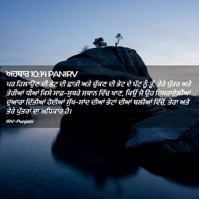 Picture 02 - ਅਹਬਾਰ 10:14 PANIRV - ਪਰ ਹਿਲਾਉਣ ਦੀ ਭੇਟ ਦੀ - Bible Verse Picture