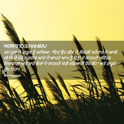 Picture 02 - ਅਹਬਾਰ 10:3 PANIRV - ਤਦ ਮੂਸਾ ਨੇ ਹਾਰੂਨ - Bible Verse Picture