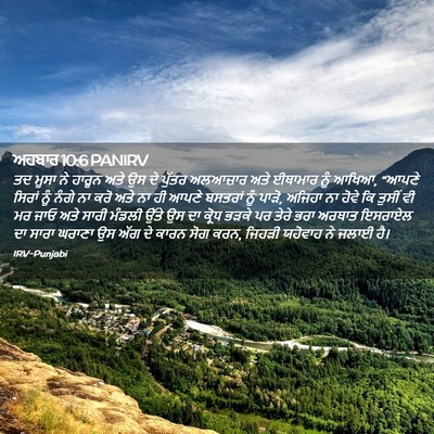 Picture 02 - ਅਹਬਾਰ 10:6 PANIRV - ਤਦ ਮੂਸਾ ਨੇ ਹਾਰੂਨ - Bible Verse Picture