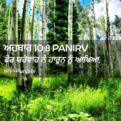 Picture 02 - ਅਹਬਾਰ 10:8 PANIRV - ਫੇਰ ਯਹੋਵਾਹ ਨੇ - Bible Verse Picture