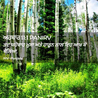 Picture 02 - ਅਹਬਾਰ 11:1 PANIRV - ਤਦ ਯਹੋਵਾਹ ਮੂਸਾ ਅਤੇ - Bible Verse Picture