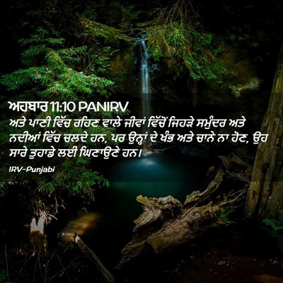 Picture 02 - ਅਹਬਾਰ 11:10 PANIRV - ਅਤੇ ਪਾਣੀ ਵਿੱਚ ਰਹਿਣ - Bible Verse Picture