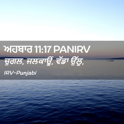 Picture 02 - ਅਹਬਾਰ 11:17 PANIRV - ਚੁਗਲ, ਜਲਕਾਊਂ, ਵੱਡਾ - Bible Verse Picture