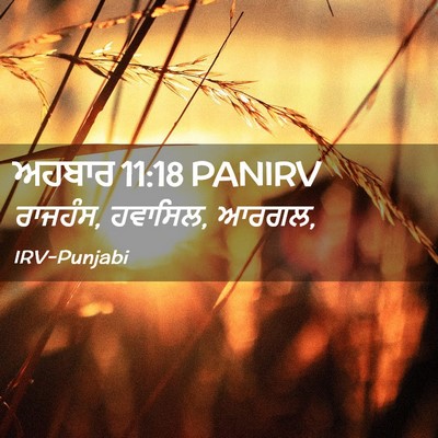 Picture 02 - ਅਹਬਾਰ 11:18 PANIRV - ਰਾਜਹੰਸ, ਹਵਾਸਿਲ, - Bible Verse Picture