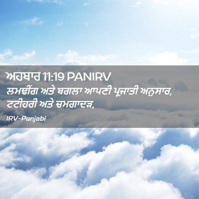 Picture 02 - ਅਹਬਾਰ 11:19 PANIRV - ਲਮਢੀਂਗ ਅਤੇ ਬਗਲਾ - Bible Verse Picture