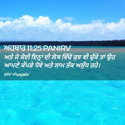 Picture 02 - ਅਹਬਾਰ 11:25 PANIRV - ਅਤੇ ਜੋ ਕੋਈ ਇਨ੍ਹਾਂ - Bible Verse Picture