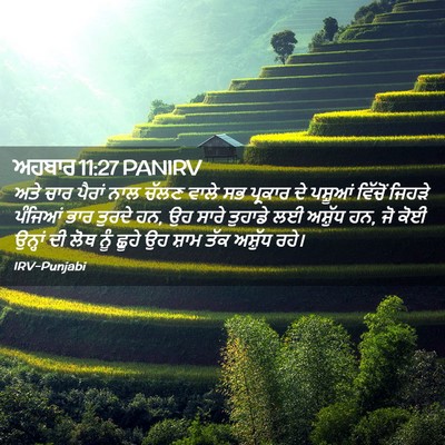 Picture 02 - ਅਹਬਾਰ 11:27 PANIRV - ਅਤੇ ਚਾਰ ਪੈਰਾਂ ਨਾਲ - Bible Verse Picture