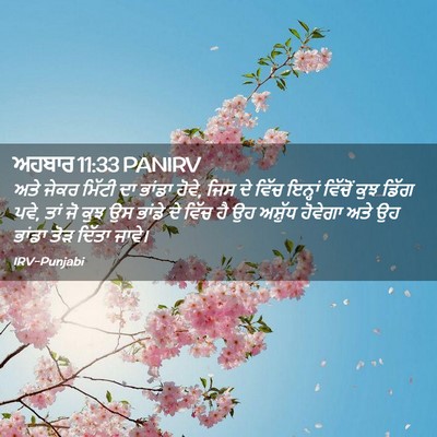 Picture 02 - ਅਹਬਾਰ 11:33 PANIRV - ਅਤੇ ਜੇਕਰ ਮਿੱਟੀ ਦਾ - Bible Verse Picture