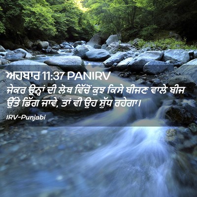Picture 02 - ਅਹਬਾਰ 11:37 PANIRV - ਜੇਕਰ ਉਨ੍ਹਾਂ ਦੀ ਲੋਥ - Bible Verse Picture