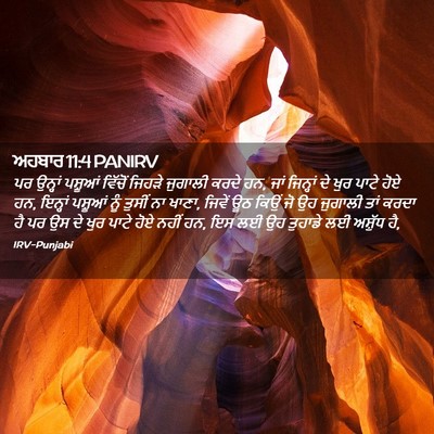 Picture 02 - ਅਹਬਾਰ 11:4 PANIRV - ਪਰ ਉਨ੍ਹਾਂ ਪਸ਼ੂਆਂ - Bible Verse Picture