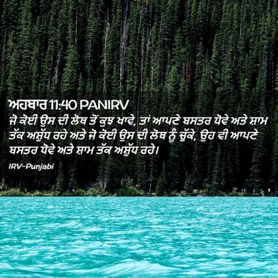 Picture 02 - ਅਹਬਾਰ 11:40 PANIRV - ਜੋ ਕੋਈ ਉਸ ਦੀ ਲੋਥ - Bible Verse Picture