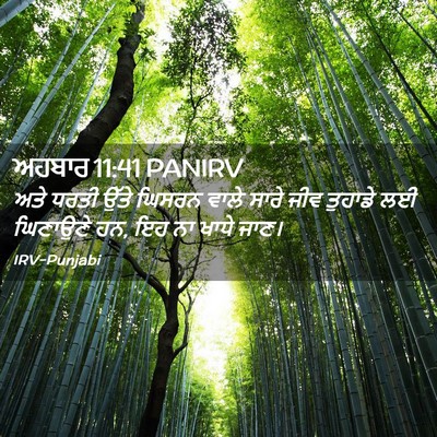Picture 02 - ਅਹਬਾਰ 11:41 PANIRV - ਅਤੇ ਧਰਤੀ ਉੱਤੇ - Bible Verse Picture