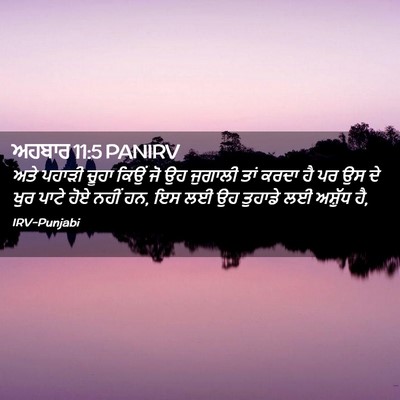 Picture 02 - ਅਹਬਾਰ 11:5 PANIRV - ਅਤੇ ਪਹਾੜੀ ਚੂਹਾ - Bible Verse Picture