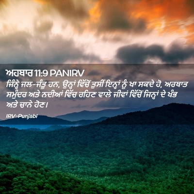 Picture 02 - ਅਹਬਾਰ 11:9 PANIRV - ਜਿੰਨ੍ਹੇ ਜਲ-ਜੰਤੂ ਹਨ, - Bible Verse Picture