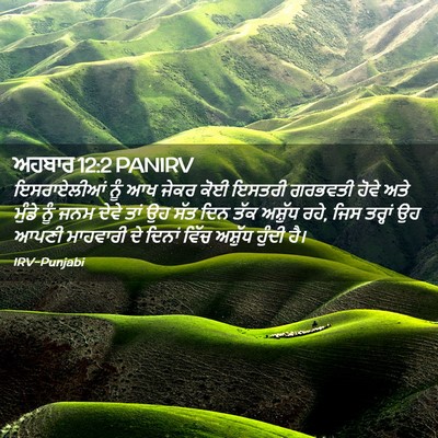 Picture 02 - ਅਹਬਾਰ 12:2 PANIRV - ਇਸਰਾਏਲੀਆਂ ਨੂੰ ਆਖ - Bible Verse Picture