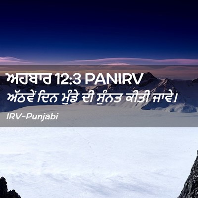 Picture 02 - ਅਹਬਾਰ 12:3 PANIRV - ਅੱਠਵੇਂ ਦਿਨ ਮੁੰਡੇ - Bible Verse Picture