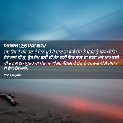 Picture 02 - ਅਹਬਾਰ 12:6 PANIRV - ਜਦ ਉਸ ਦੇ ਸ਼ੁੱਧ ਹੋਣ - Bible Verse Picture