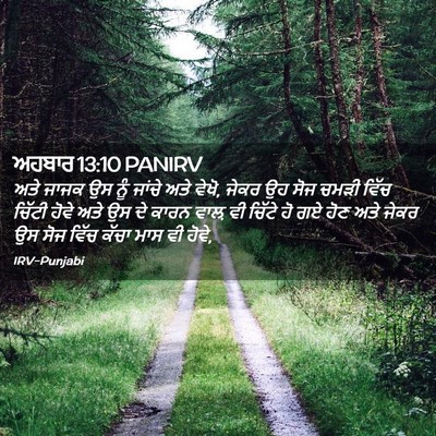 Picture 02 - ਅਹਬਾਰ 13:10 PANIRV - ਅਤੇ ਜਾਜਕ ਉਸ ਨੂੰ - Bible Verse Picture