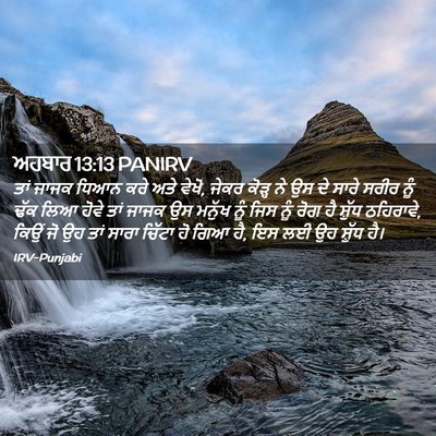 Picture 02 - ਅਹਬਾਰ 13:13 PANIRV - ਤਾਂ ਜਾਜਕ ਧਿਆਨ ਕਰੇ - Bible Verse Picture