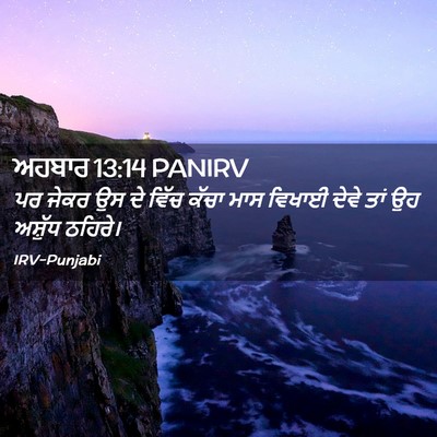 Picture 02 - ਅਹਬਾਰ 13:14 PANIRV - ਪਰ ਜੇਕਰ ਉਸ ਦੇ ਵਿੱਚ - Bible Verse Picture
