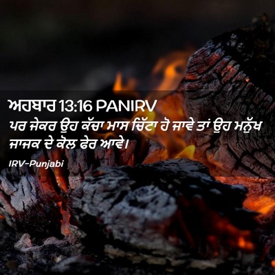 Picture 02 - ਅਹਬਾਰ 13:16 PANIRV - ਪਰ ਜੇਕਰ ਉਹ ਕੱਚਾ ਮਾਸ - Bible Verse Picture