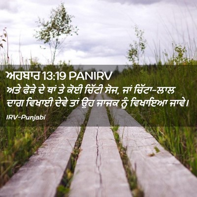Picture 02 - ਅਹਬਾਰ 13:19 PANIRV - ਅਤੇ ਫੋੜੇ ਦੇ ਥਾਂ ਤੇ - Bible Verse Picture