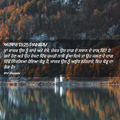 Picture 02 - ਅਹਬਾਰ 13:25 PANIRV - ਤਾਂ ਜਾਜਕ ਉਸ ਨੂੰ - Bible Verse Picture