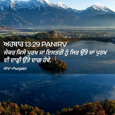 Picture 02 - ਅਹਬਾਰ 13:29 PANIRV - ਜੇਕਰ ਕਿਸੇ ਪੁਰਖ ਜਾਂ - Bible Verse Picture