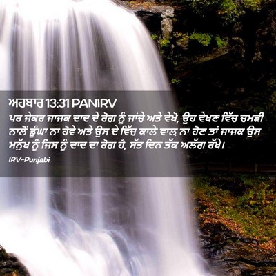 Picture 02 - ਅਹਬਾਰ 13:31 PANIRV - ਪਰ ਜੇਕਰ ਜਾਜਕ ਦਾਦ ਦੇ - Bible Verse Picture