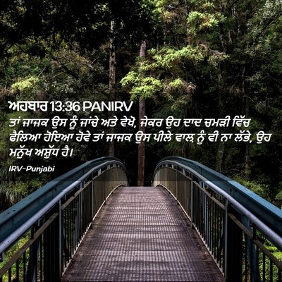 Picture 02 - ਅਹਬਾਰ 13:36 PANIRV - ਤਾਂ ਜਾਜਕ ਉਸ ਨੂੰ - Bible Verse Picture