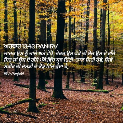 Picture 02 - ਅਹਬਾਰ 13:43 PANIRV - ਜਾਜਕ ਉਸ ਨੂੰ ਜਾਂਚੇ - Bible Verse Picture