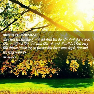 Picture 02 - ਅਹਬਾਰ 13:51 PANIRV - ਸੱਤਵੇਂ ਦਿਨ ਉਹ ਉਸ - Bible Verse Picture
