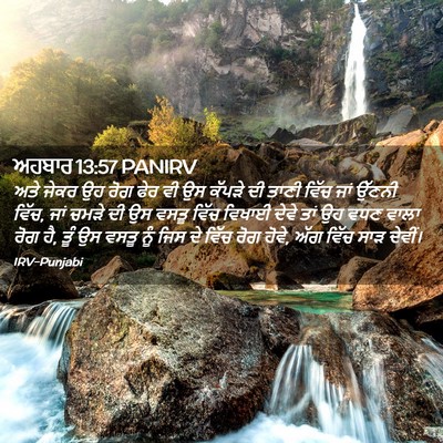 Picture 02 - ਅਹਬਾਰ 13:57 PANIRV - ਅਤੇ ਜੇਕਰ ਉਹ ਰੋਗ ਫੇਰ - Bible Verse Picture