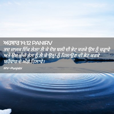 Picture 02 - ਅਹਬਾਰ 14:12 PANIRV - ਤਦ ਜਾਜਕ ਇੱਕ ਲੇਲਾ ਲੈ - Bible Verse Picture