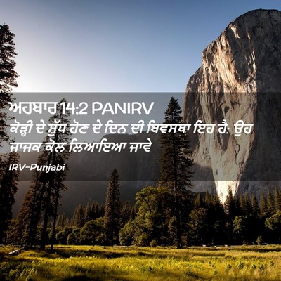 Picture 02 - ਅਹਬਾਰ 14:2 PANIRV - ਕੋੜ੍ਹੀ ਦੇ ਸ਼ੁੱਧ - Bible Verse Picture