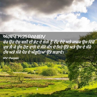 Picture 02 - ਅਹਬਾਰ 14:25 PANIRV - ਫੇਰ ਉਹ ਦੋਸ਼ ਬਲੀ ਦੀ - Bible Verse Picture