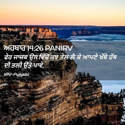 Picture 02 - ਅਹਬਾਰ 14:26 PANIRV - ਫੇਰ ਜਾਜਕ ਉਸ ਵਿੱਚੋਂ - Bible Verse Picture