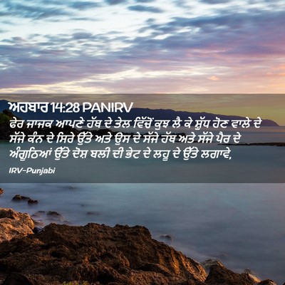 Picture 02 - ਅਹਬਾਰ 14:28 PANIRV - ਫੇਰ ਜਾਜਕ ਆਪਣੇ ਹੱਥ - Bible Verse Picture