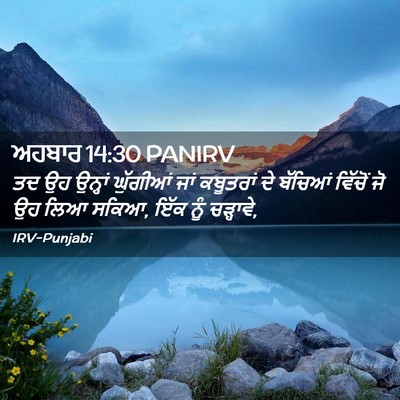 Picture 02 - ਅਹਬਾਰ 14:30 PANIRV - ਤਦ ਉਹ ਉਨ੍ਹਾਂ - Bible Verse Picture