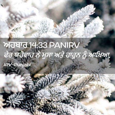 Picture 02 - ਅਹਬਾਰ 14:33 PANIRV - ਫੇਰ ਯਹੋਵਾਹ ਨੇ ਮੂਸਾ - Bible Verse Picture