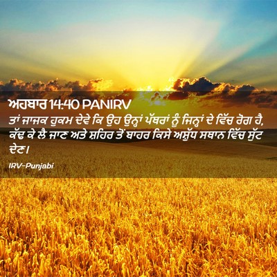 Picture 02 - ਅਹਬਾਰ 14:40 PANIRV - ਤਾਂ ਜਾਜਕ ਹੁਕਮ ਦੇਵੇ - Bible Verse Picture