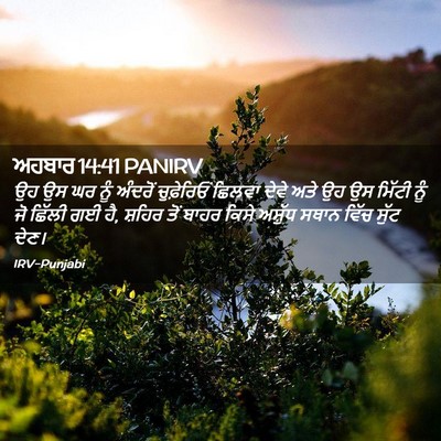 Picture 02 - ਅਹਬਾਰ 14:41 PANIRV - ਉਹ ਉਸ ਘਰ ਨੂੰ ਅੰਦਰੋਂ - Bible Verse Picture