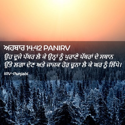 Picture 02 - ਅਹਬਾਰ 14:42 PANIRV - ਉਹ ਦੂਜੇ ਪੱਥਰ ਲੈ ਕੇ - Bible Verse Picture