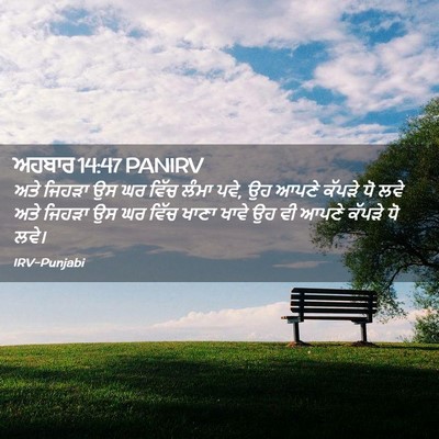 Picture 02 - ਅਹਬਾਰ 14:47 PANIRV - ਅਤੇ ਜਿਹੜਾ ਉਸ ਘਰ - Bible Verse Picture