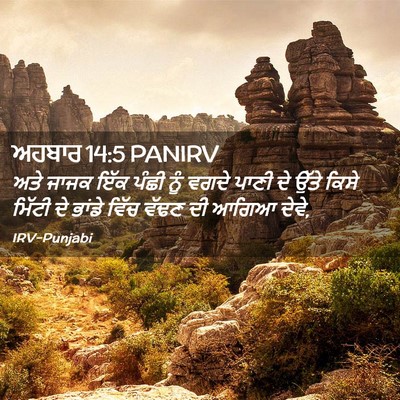 Picture 02 - ਅਹਬਾਰ 14:5 PANIRV - ਅਤੇ ਜਾਜਕ ਇੱਕ ਪੰਛੀ - Bible Verse Picture