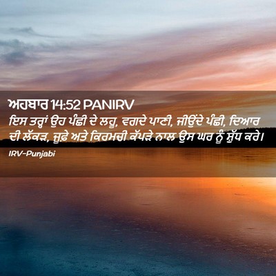 Picture 02 - ਅਹਬਾਰ 14:52 PANIRV - ਇਸ ਤਰ੍ਹਾਂ ਉਹ ਪੰਛੀ - Bible Verse Picture
